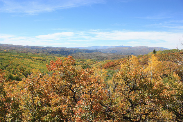 Kebler Pass Fall Colors