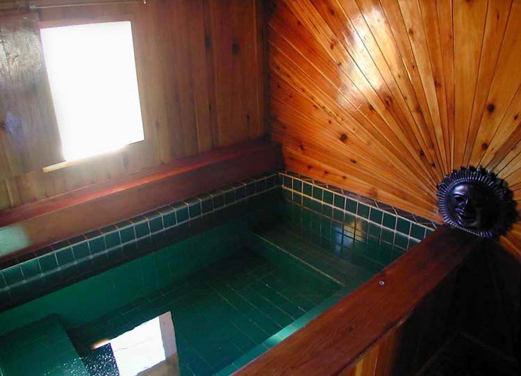 Orvis Hot Springs Private Tub