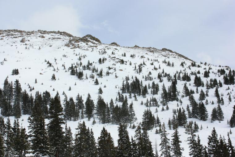 Montezuma Bowl Tree Run Montezuma Bowl tree runs