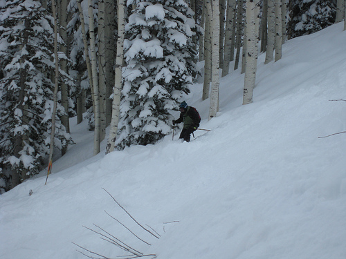 Powderhorn Mesa Ski Area