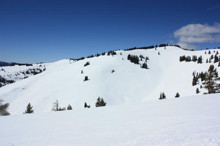 Vail Ski Back Bowls