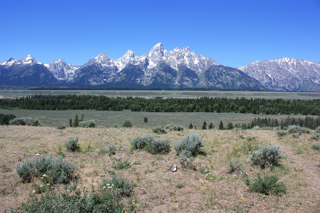 Grand Teton National Park