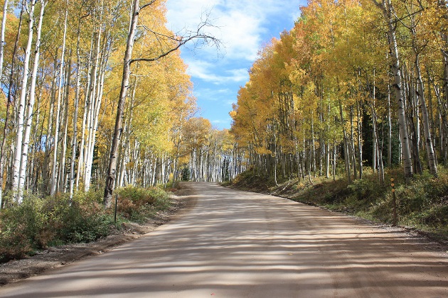 Kebler Pass Fall