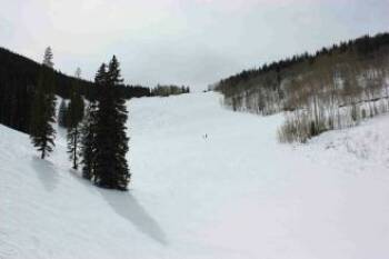 Beaver Creek Rose Bowl