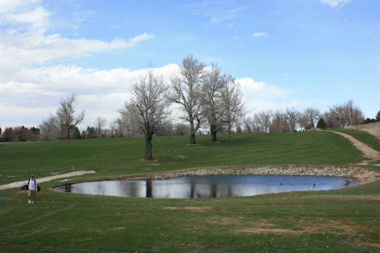 Golfing Wellshire Golf Course Colorado Golf Travel Guide